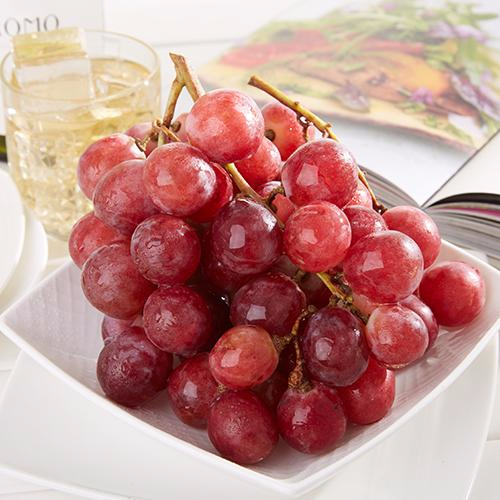 开云官方网站产品名称五